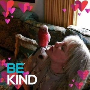 Meet your Posher, Lorri